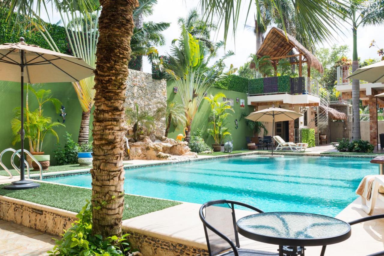 Alamos Inn Hotel Con Jacuzzi Y Piscina Cancún Exteriér fotografie